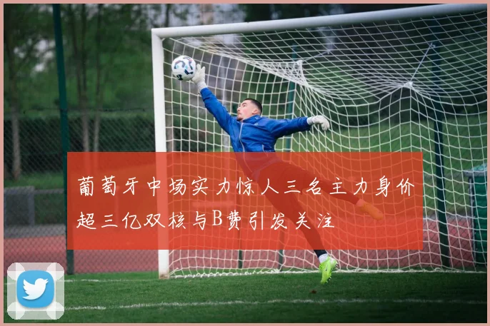 葡萄牙中场实力惊人三名主力身价超三亿双核与B费引发关注