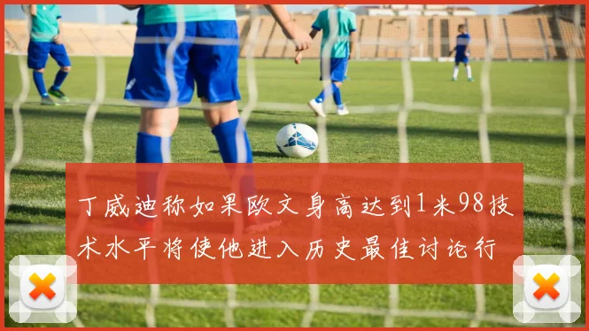 丁威迪称如果欧文身高达到1米98技术水平将使他进入历史最佳讨论行列